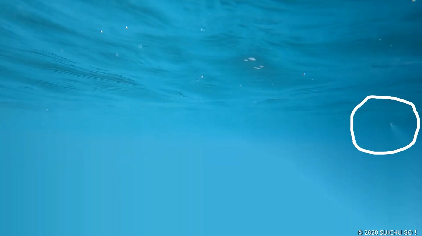 13秒 謎の光線 水中ドローンに映り込む 上蒲刈島 Suichu Go